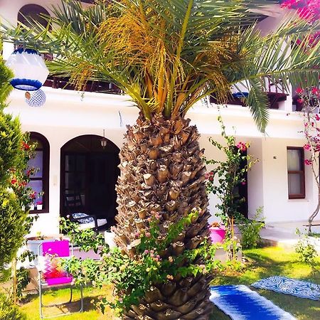 Kiraz Cicegi Butik Otel Akyaka Exterior foto
